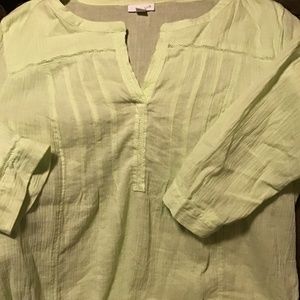 J.Jill Women’s XL 3/4 Sleeve Spring Light Green Embroidered V-Neck Top